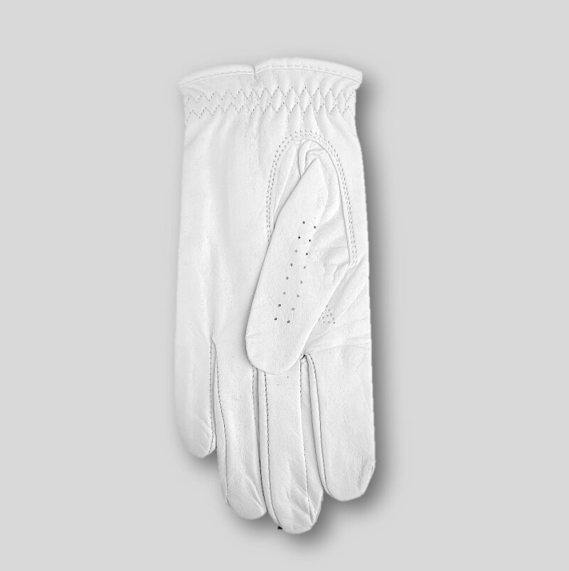 Premium Net Birdies Golf Glove - Image 2